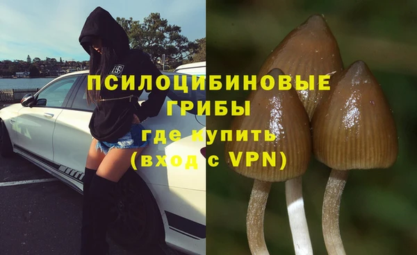 кокаин перу Богданович