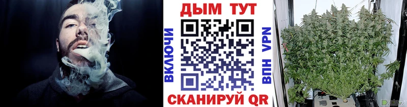 Марихуана Bruce Banner  купить наркотики сайты  Ачхой-Мартан 